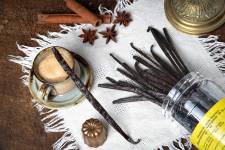 MARIA JULIA MARCHINI - MARIA MARCHINI