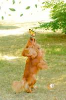 Chloé DUFLOT - PLAISIR PHOTO